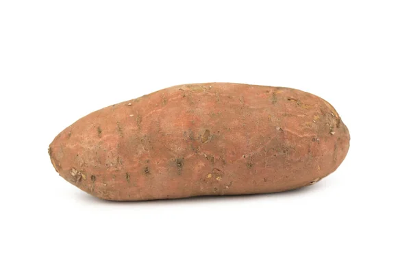 Zoete Aardappelknollen Ipomoea Batatas — Stockfoto