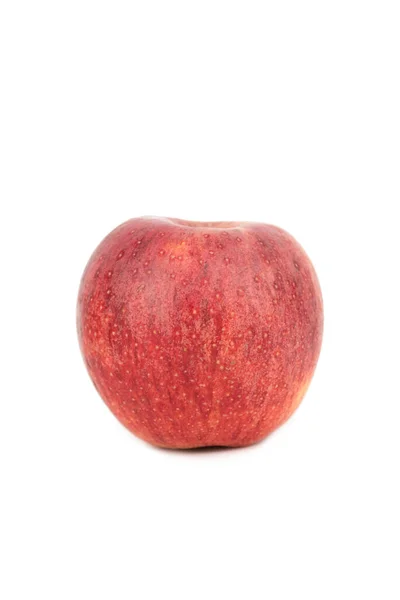 Zoet Rood Koninklijk Gala Appel Fruit — Stockfoto