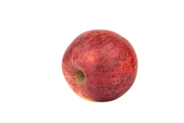 Zoet Rood Koninklijk Gala Appel Fruit — Stockfoto