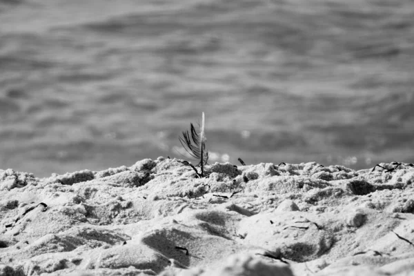 Пісок Пляжі — стокове фото