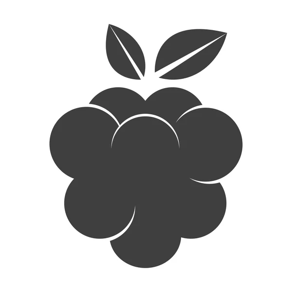 Raspberry pictogram silhouet — Stockvector