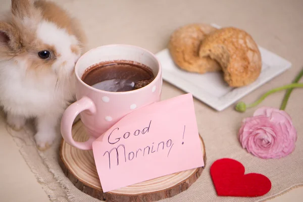 Conejo bebé en la mesa durante el desayuno . — Foto de Stock