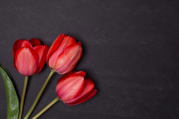 Lavagna nera pulita vuota con tulipani rossi. Vista dall'alto . — Foto Stock
