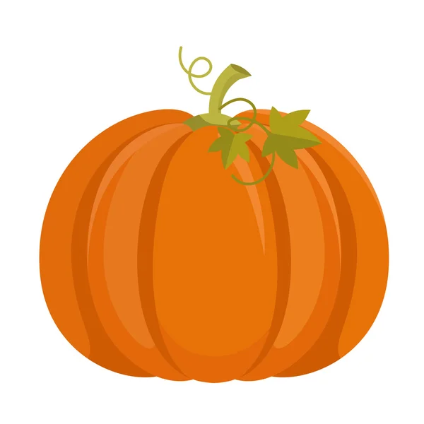 Calabaza aislada sobre fondo blanco — Vector de stock