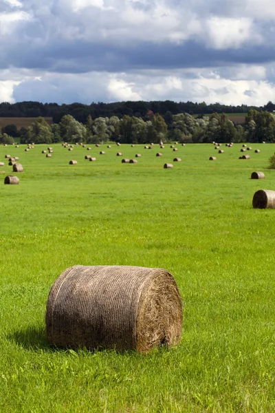 Stora haymow på fältet — Stockfoto