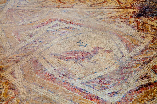 Fragmant de mosaico hellinístico antigo — Fotografia de Stock