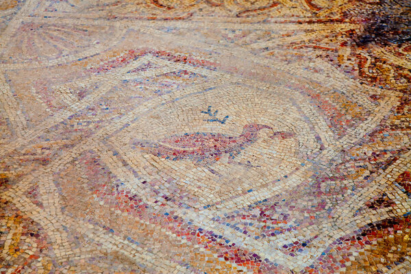Fragmant of ancient Hellinistic mosaic