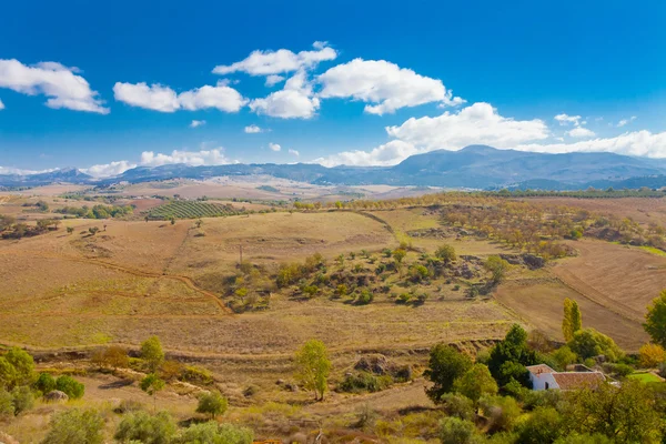 Paisaje andaluz —  Fotos de Stock