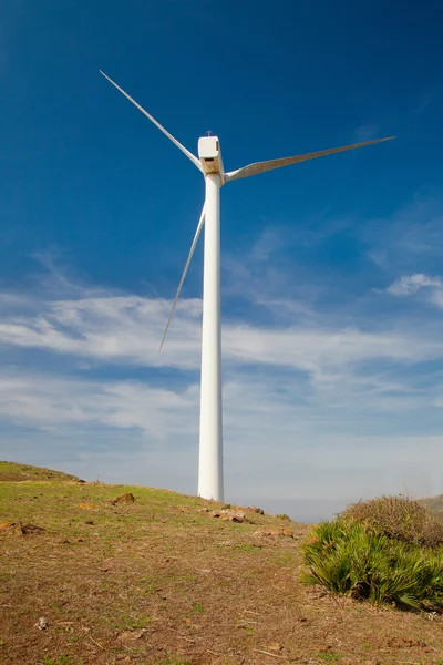 Molino de viento único — Foto de Stock