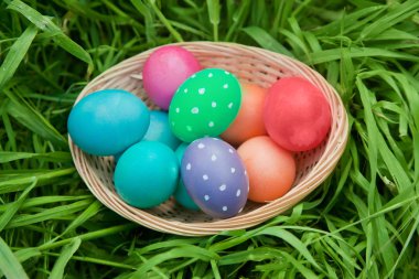 Sepeti renkli yumurta