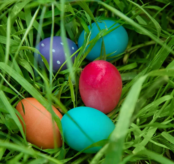 Gros plan sur les œufs de Pâques dans l'herbe — Photo