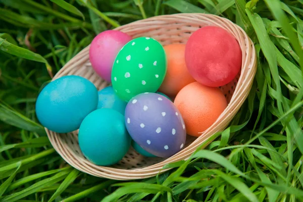 Cesta de huevo de Pascua en una cesta — Foto de Stock