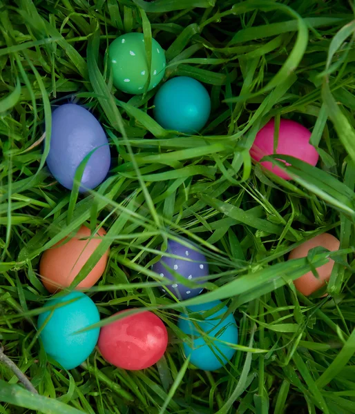 Easter egg hunt — Stock Photo, Image