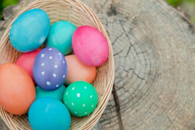 Paskalya yumurtası sepet bir güdük üzerinde