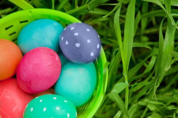 Close-up op Pasen eieren in een emmer — Stockfoto