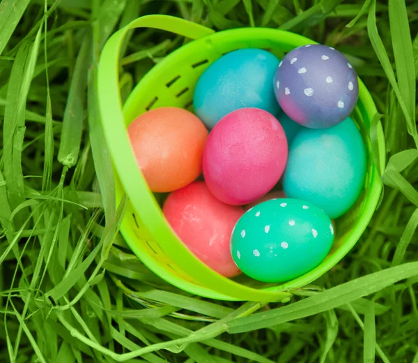 Huevos de Pascua en cubo de plástico — Foto de Stock