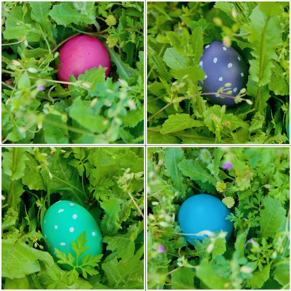 Velikonoční vajíčko visel koláž — Stock fotografie