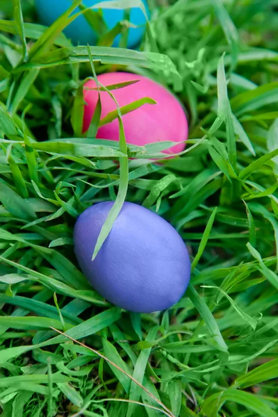 Фиолетовые и розовые яйца в траве — стоковое фото