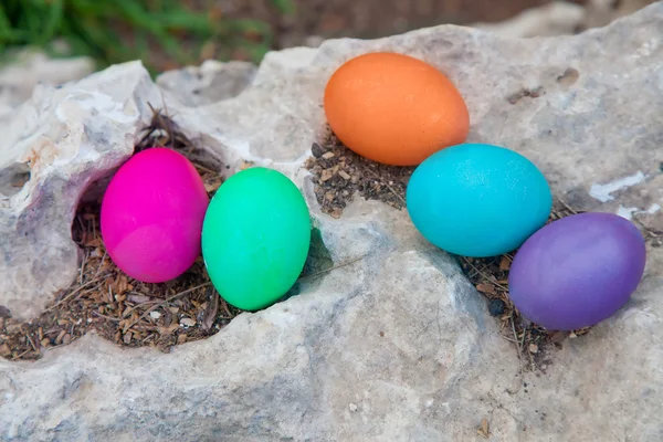 Colorful eggs on a rock — Stock Photo, Image