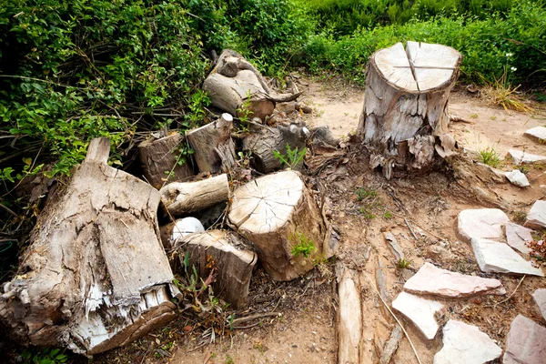 Old lumber — Stock Photo, Image