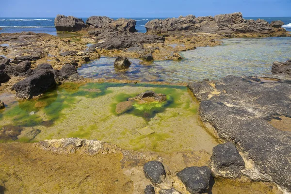 Incrível costa rochosa — Fotografia de Stock