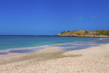 Seashell kaplı plaj ve uzak ufuk