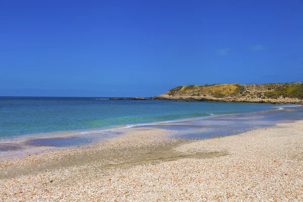 Praia coberta de conchas e horizonte distante — Fotografia de Stock