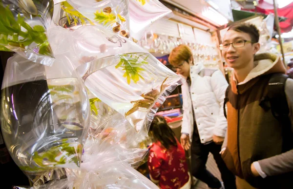 Jeune homme à la recherche d'un crabe dans de petits sacs en plastique — Photo