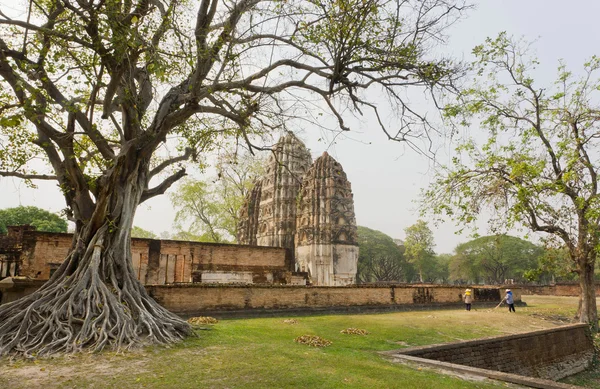 Trädgårdsmästare rengöra området runt de gamla träden och templet i Thailand. — Stockfoto