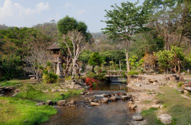 Güzel yeşil tropikal Bahçe Köyü'nde küçük nehir