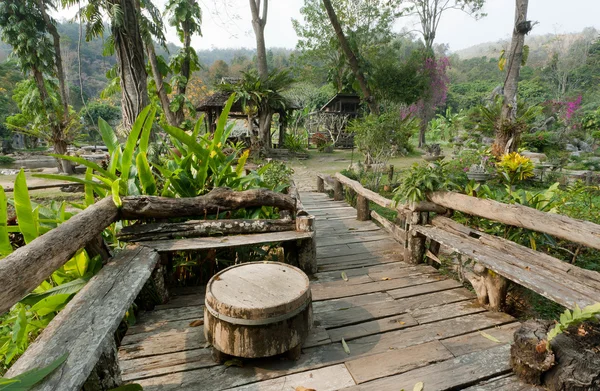Jardin tropical vert dans un beau village — Photo