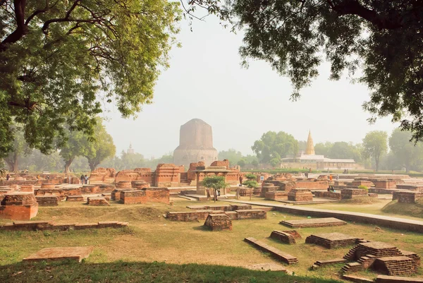 Grön park med förstörda tempel väggar och heliga Dhamekh Stupa i Sarnath. Indien — Stockfoto