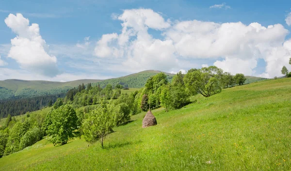 绿草与干草堆在白云下山岗上的全景视图。美丽的农村风景 — 图库照片