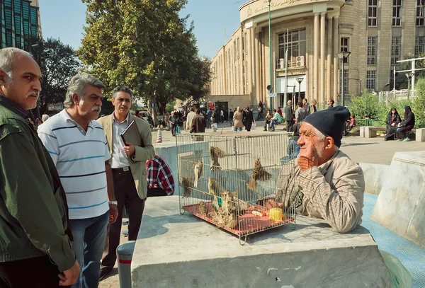 Birdman trades the sparrows on crowded market street of Tehran — Stock Photo, Image
