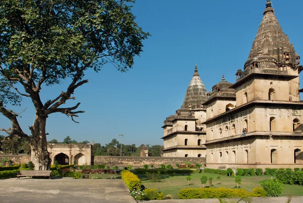 Parque alrededor de edificios con cúpulas de piedra en Orchha india. Cenotafio fue construido en el siglo XVII en la India — Foto de Stock