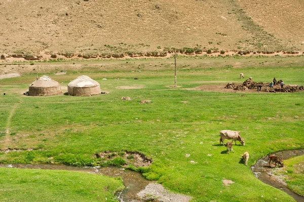 Krajina s místními farmami, krávy a středoasijskými stany Yurt v říčních zelených údolích. Vesnice Kyrgyzstán. — Stock fotografie