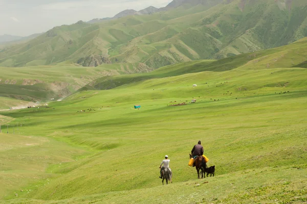 Two riders on horseback go away in the valley between the green mountains. Kyrgyzstan.