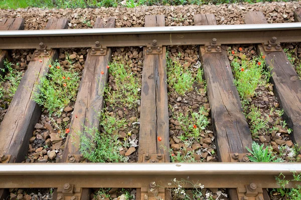 Old city railway near the historical buildings of the town — Stock Photo, Image