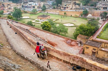 People ride the elephant for trip to the historical Amber Fort