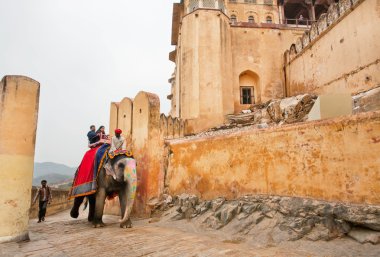 People ride the elephant for trip to the historical Amber Fort