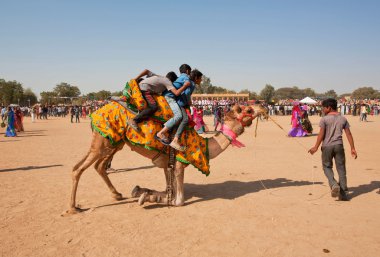 Group of boys trying to come down from the camel