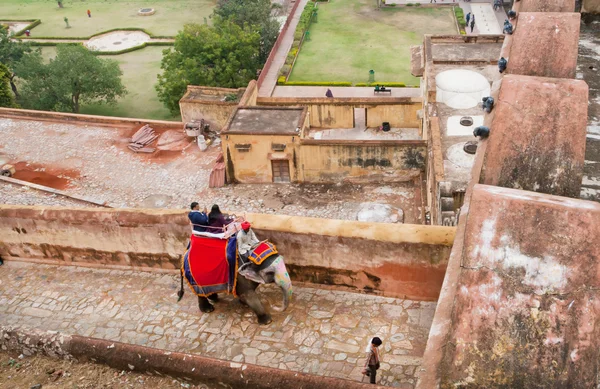 Elefantvandring genom den historiska indiska Amber fort — Stockfoto