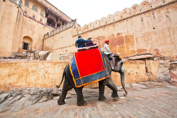 People ride the elephant for trip to the historical Amber Fort — Stock Photo, Image