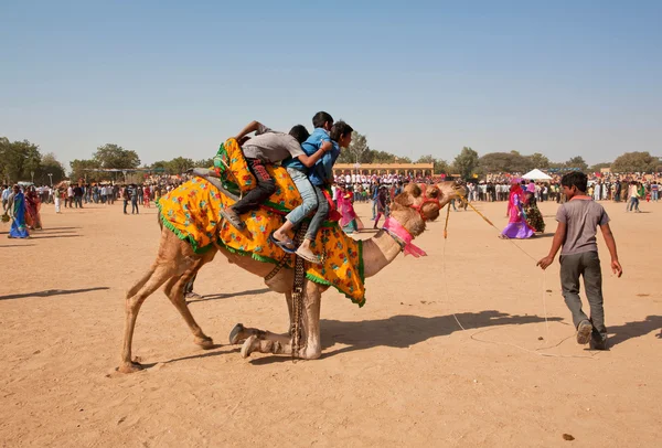 Group of boys trying to come down from the camel — Stock Photo, Image
