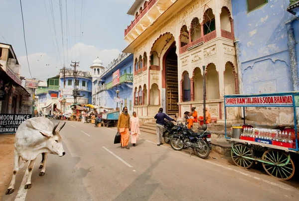 Strada con mucca santa e camminare asiatico people near soda water street store — Foto Stock