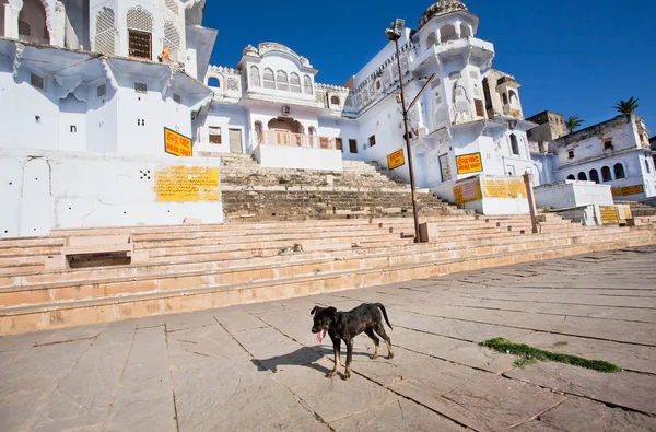 Bella sacra Chandra e Varaha Ghats — Foto Stock