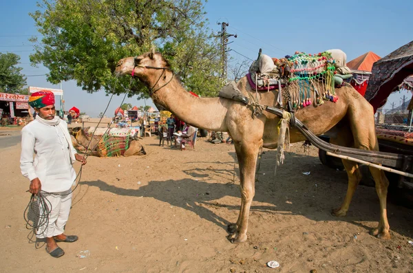 Village man stands with big camel in rural landscape — Stock Photo, Image