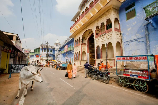 Street with holy cow and walking asian people near soda water street store — Stock Photo, Image