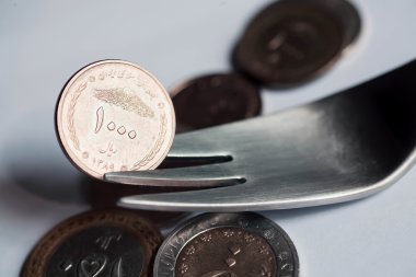 Selective focus on metal fork with iranian currency.