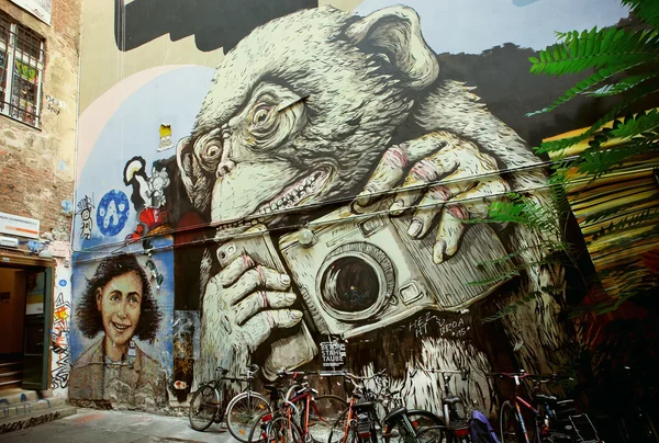 Hipster apa med mobiltelefon och kamera, okänd konstnär graffiti — Stockfoto